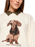Dodgy Dogs Dog Sweatshirt <span>ZS44.12J09<span>