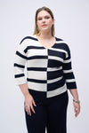 Striped Navy/White V Neck Sweater <span>251914<span>